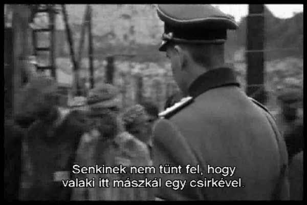 Schindler listája (Schindler’s List) 8.