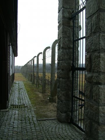 A gross-roseni láger szögesdrótkerítése (2011)