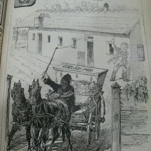 1883.06.24